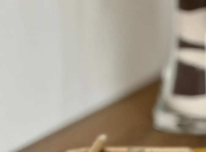 L'oleandro 3* فاليجيو سول مينشيو